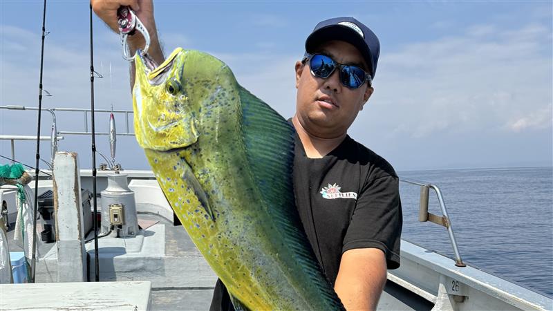 巨大魚・夏の陣2024