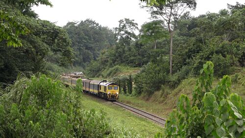 行くぞ！最果て！秘境×鉄道 ～ガボン・トランスガボン鉄道～